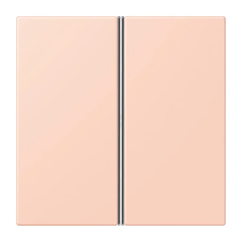 Jung Tastensatz 2fach, F40, Serie LS, l'ocre rouge clair LC402TSA234