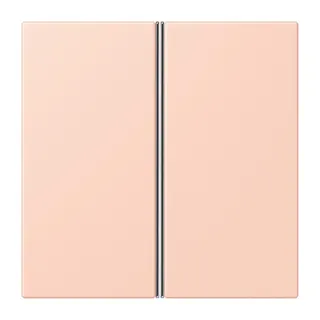 Jung Tastensatz 2fach, F40, Serie LS, l'ocre rouge clair LC402TSA234