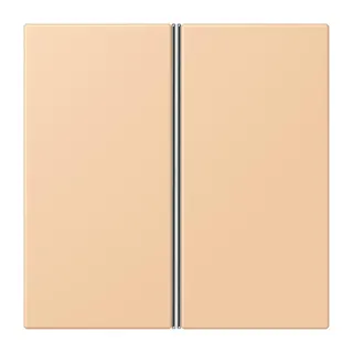 Jung Tastensatz 2fach, F40, Serie LS, terre sienne claire 31 LC402TSA237