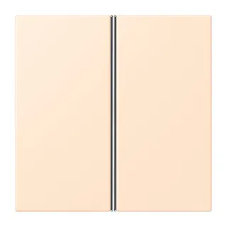 Jung Tastensatz 2fach, F40, Serie LS, terre sienne pâle LC402TSA238