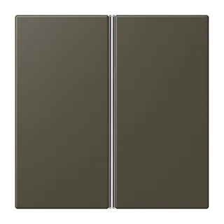 Jung Tastensatz 2fach, F40, Serie LS, ombre naturelle 31 LC402TSA241