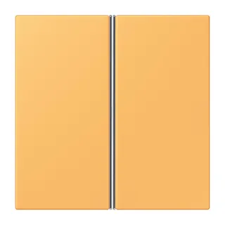 Jung Tastensatz 2fach, F40, Serie LS, ocre jaune clair LC402TSA254