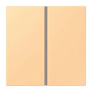 Jung Tastensatz 2fach, F40, Serie LS, terre sienne claire 59 LC402TSA258