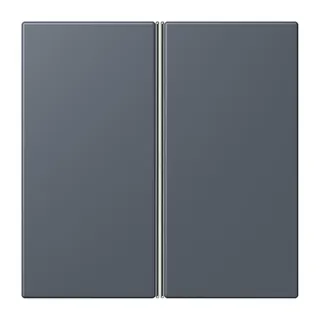 Jung Tastensatz 2fach, F40, Serie LS, gris fonce 59 LC402TSA262
