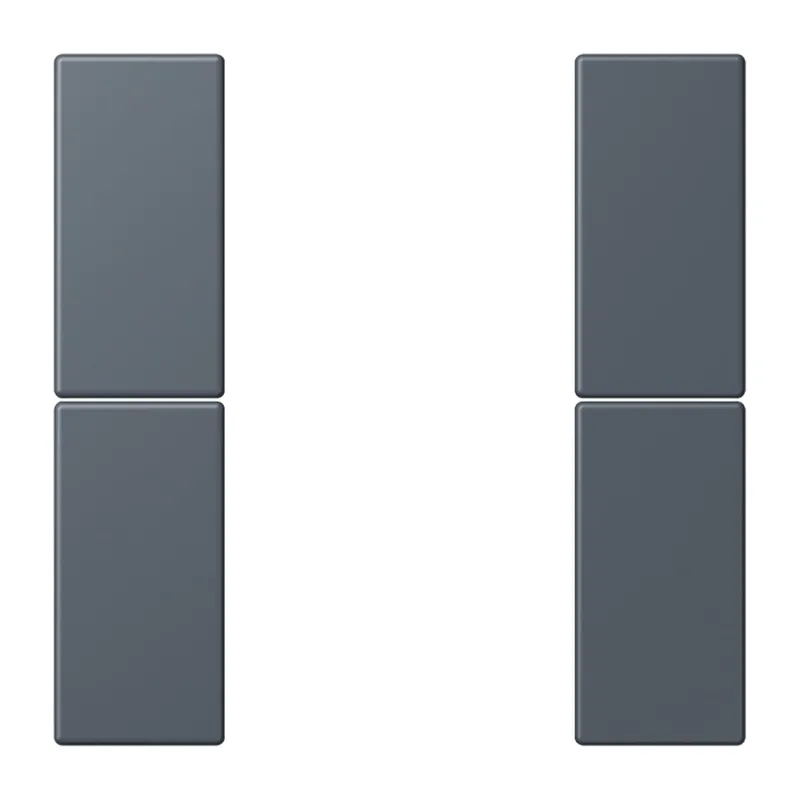 Jung Tastensatz 2fach, F50, Serie LS, gris fonce 59 LC502TSA262