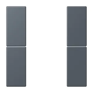 Jung Tastensatz 2fach, F50, Serie LS, gris fonce 59 LC502TSA262