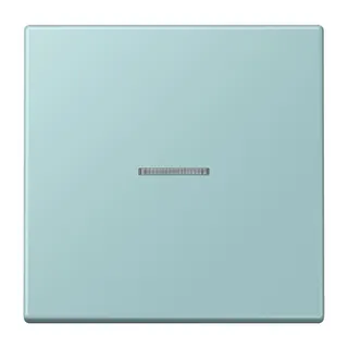 Jung Wippe mit Lichtleiter für Taster 1fach, Serie LS, céruléen clair LC101KO5214