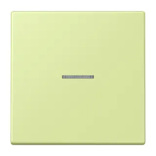 Jung Wippe mit Lichtleiter für Taster 1fach, Serie LS, vert jaune clair LC101KO5222
