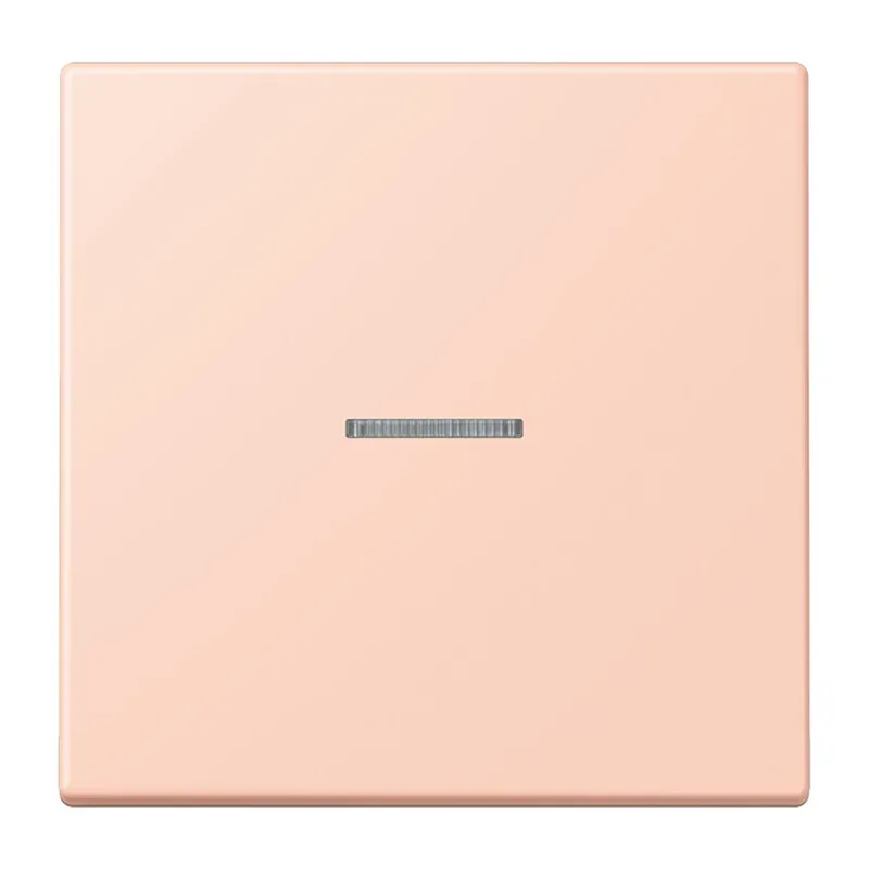 Jung Wippe mit Lichtleiter für Taster 1fach, Serie LS, l'ocre rouge clair LC101KO5234