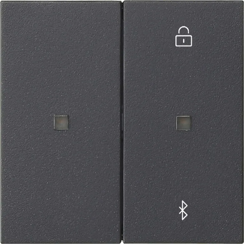 Gira S3000 Jal.-/Schaltuhr BT System 55 Anthrazit 538128