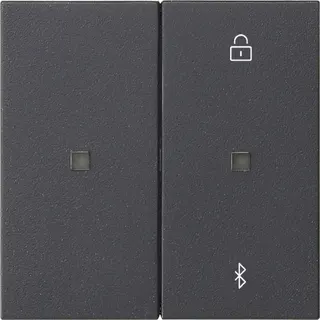 Gira S3000 Jal.-/Schaltuhr BT System 55 Anthrazit 538128