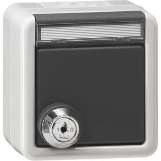 Gira SCHUKO KD Schloss gleich + BSF WG AP Grau 456930
