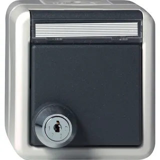 Gira SCHUKO KD Schloss sortiert + BSF WG AP Grau 456730