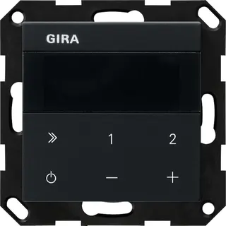 Gira UP-Radio IP System 55 Schwarz m 2320005