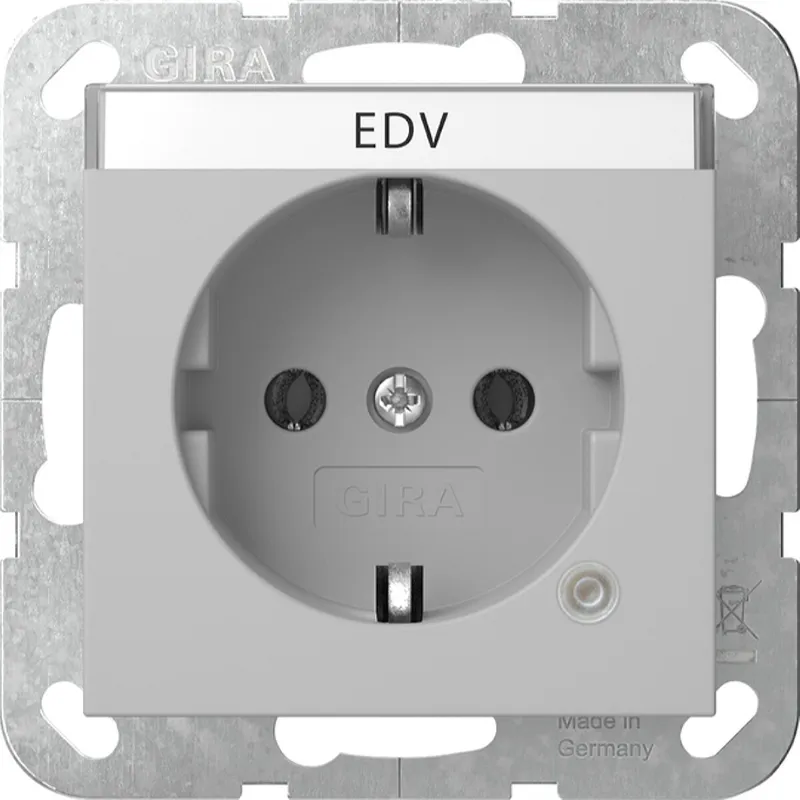 Gira SCHUKO Kontroll + BSF System 55 Grau m 4452015