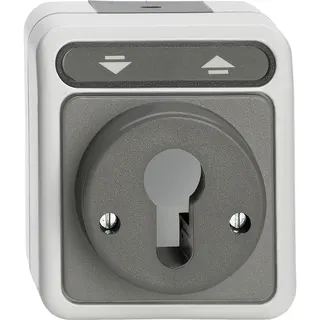 Merten Rollladentaster MEG3718-8029 lichtgrau
