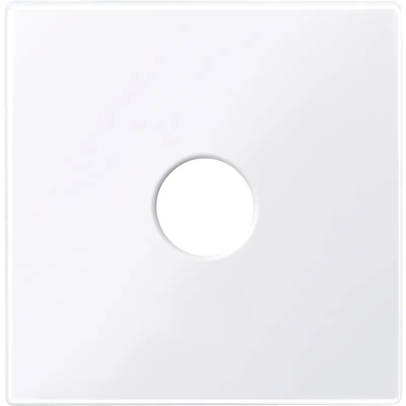 Merten Zentralplatte 451825 aktivweiss glänzend System M
