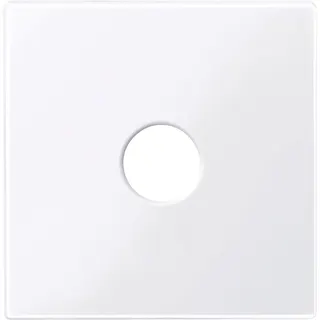 Merten Zentralplatte 451825 aktivweiss glänzend System M