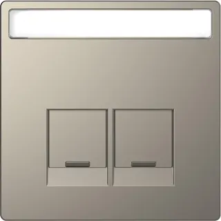 Merten Zentralplatte Nickelmetallic System Design