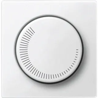 Merten Zentralplatte polarweiss System M