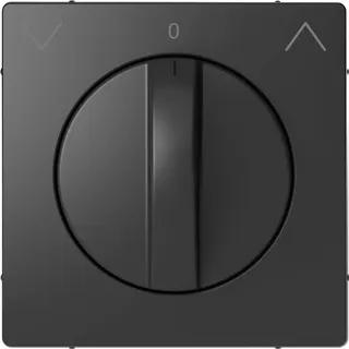 Merten Zentralplatte Anthrazit System Design
