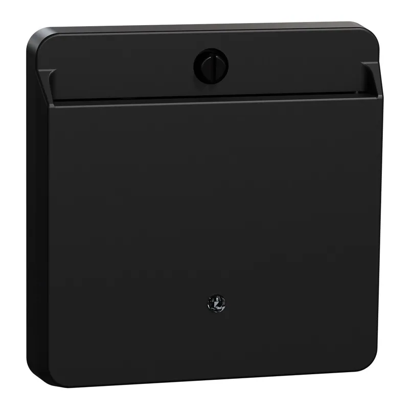 Merten Card-Schalter mit Schriftfeld schwarz matt System M