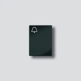 Siedle Klingeltaste mit Glockensymbol zu TM 612-3/BTM 650-03 SH