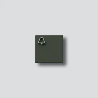 Siedle Klingeltaste mit Glockensymbol zu TM 612-4/BTM 650-04 GM