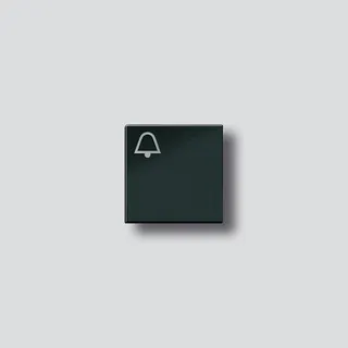 Siedle Klingeltaste mit Glockensymbol zu TM 612-4/BTM 650-04 SH