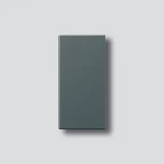 Siedle Klingeltaste ohne Glockensymbol zu TM 612-1/BTM 650-01 DG
