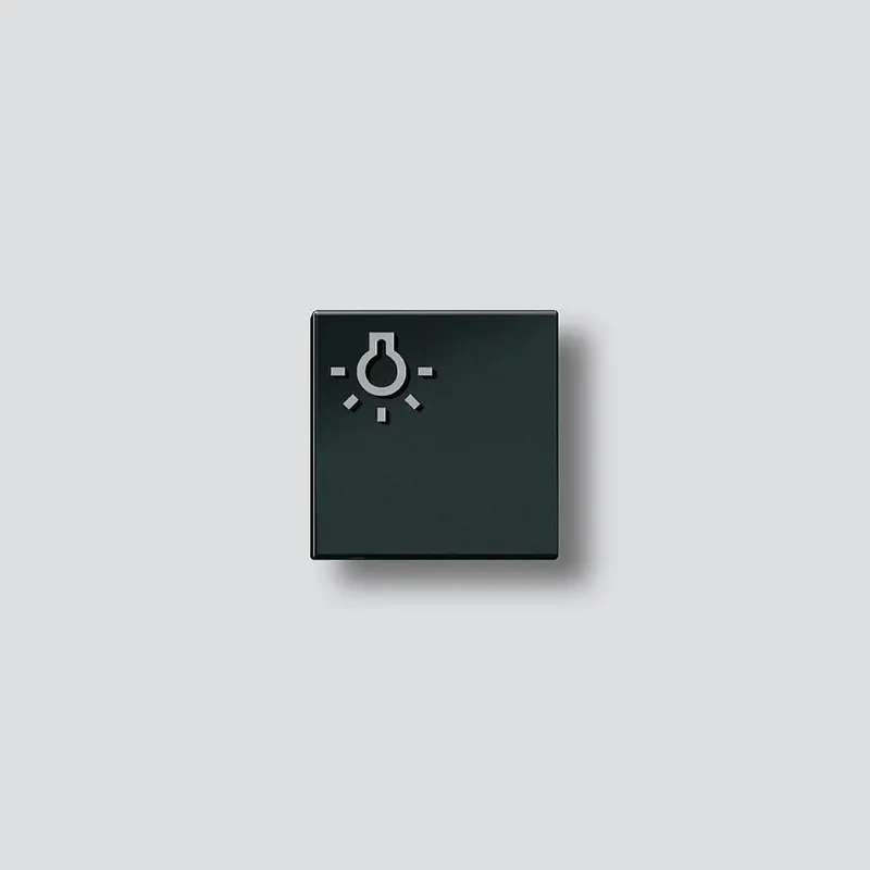 Siedle Licht-Taste Symbol Licht TLM 611/612-01, BTLM 650 SH
