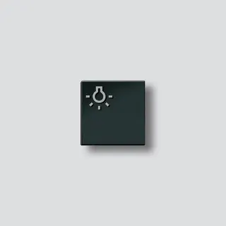 Siedle Licht-Taste Symbol Licht TLM 611/612-01, BTLM 650 SH