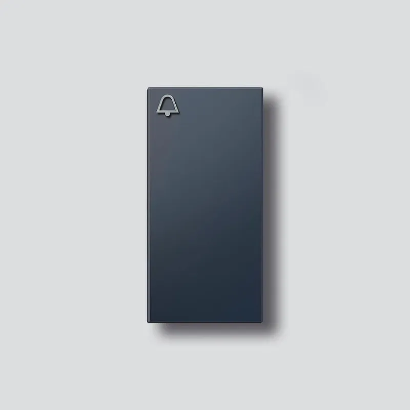 Siedle Klingeltaste für TM612-1/-2 BTM650-01/02AG anthrazit