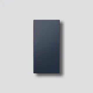 Siedle Klingeltaste für TM612-1/BTM 650-01 AG anthrazitgrau