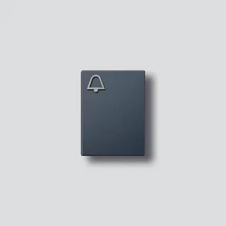 Siedle Klingeltaste für TM612-3/BTM 650-03 AG anthrazitgrau