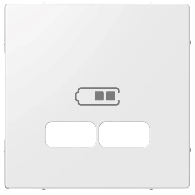 ELSO Zentralplatte ELG363204 für USB-Ladestation- reinweiß