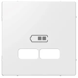 ELSO Zentralplatte ELG363204 für USB-Ladestation- reinweiß