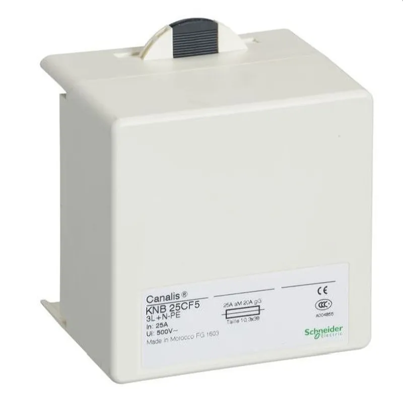 Schneider Electric Abgangseinheit 16A 3L+N+PE für Sicherungen 10 x 38mm