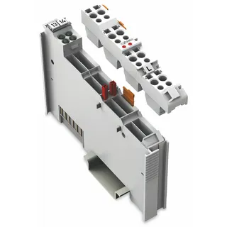 WAGO Platzhaltermodul Passiv lichtgrau 753-629/020-000