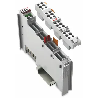 WAGO 2-Kanal-Digitalausgang AC 230 V 0,3 A lichtgrau 753-509