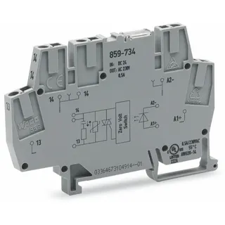 WAGO Optokopplermodul Eingangsnennspannung DC 24 V Ausgangsspannungsbereich AC 24 ? 260 V lichtgrau 859-734