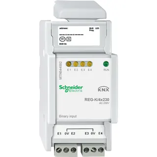 Schneider Electric Binäreingang