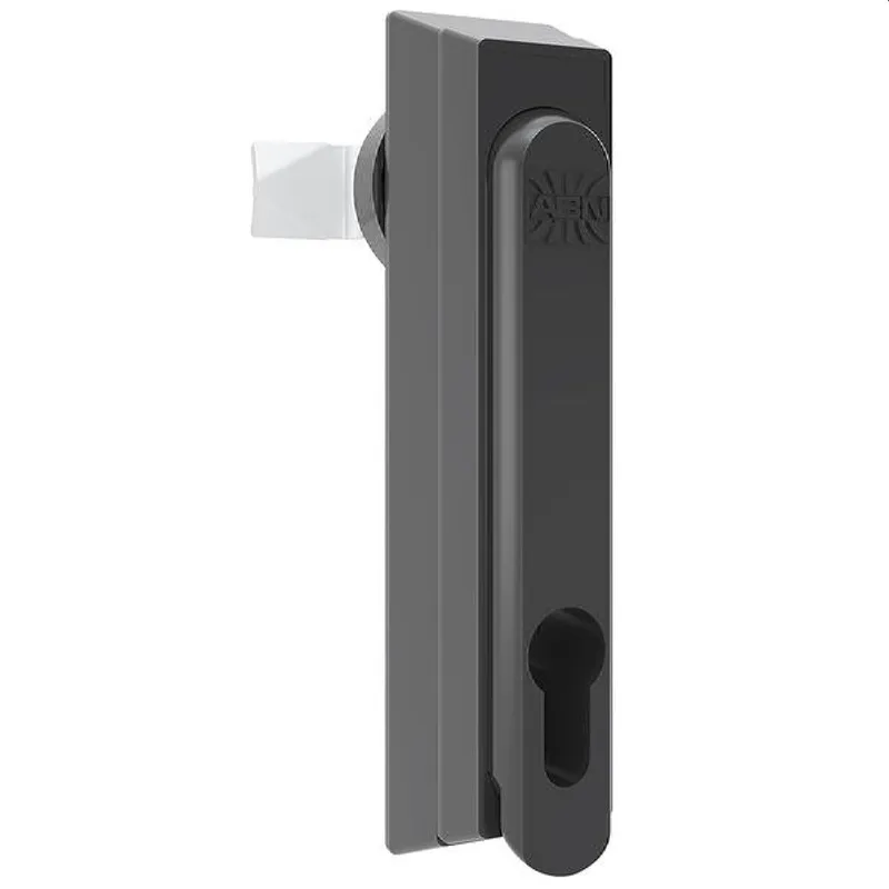 ABN Schwenkhebel GDV120N10 o.Schließeinsatz(PK=10Stk.) GDV120N10