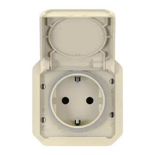 Legrand Einsatz 069640LB SCHUKO-SDO Plexo New IP44 beige
