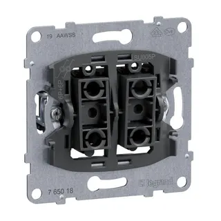 Legrand Einsatz SEANO DoppelTA.m.2 Wechselkont 10A STKLE