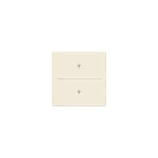 Busch-Jaeger Abdeckung LFBT/A.2.63.11-84 Taster 2-fach m. Symbol Beleuchtung