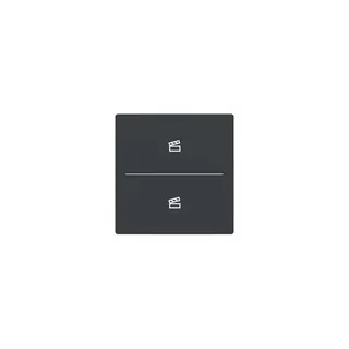 Busch-Jaeger Abdeckung LFST/A.2.63.11-81 Taster 2-fach m. Symbol Szene