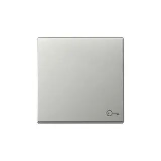 Gira Wippe 3287600 Symb.Tür Sys.55 es