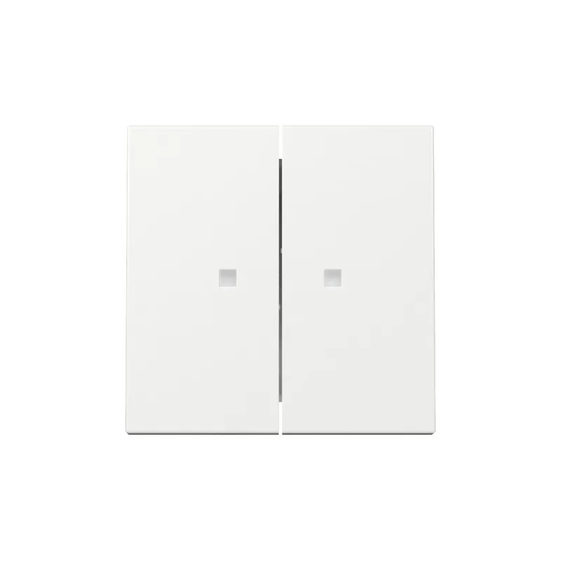Gira Wippe 363103 2f Kontrollf.Sys.55 rws