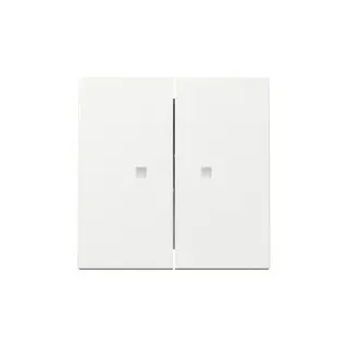 Gira Wippe 363103 2f Kontrollf.Sys.55 rws